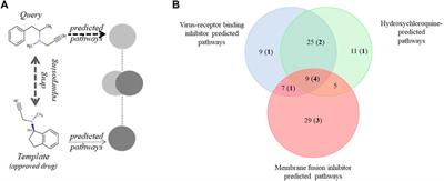 The Anti-Histamine Azelastine, Identified by Computational Drug Repurposing, Inhibits Infection by Major Variants of SARS-CoV-2 in Cell Cultures and Reconstituted Human Nasal Tissue